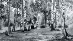 И.И. Шишкин. Березовая роща. В УХМ картина поступила в 1926 году из ГМФ, из собрания Цветковской галереи 
